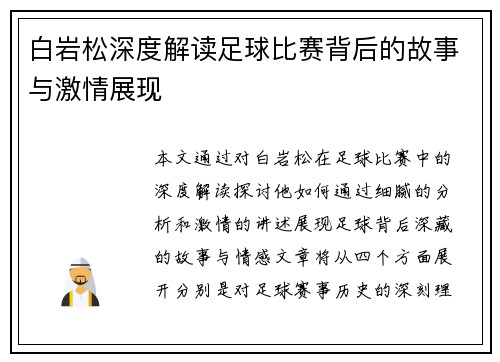 白岩松深度解读足球比赛背后的故事与激情展现