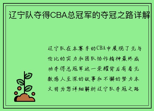 辽宁队夺得CBA总冠军的夺冠之路详解