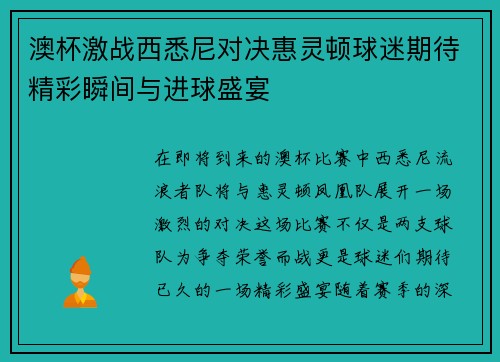 澳杯激战西悉尼对决惠灵顿球迷期待精彩瞬间与进球盛宴