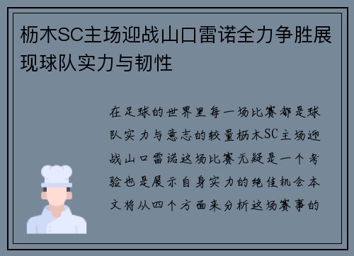 枥木SC主场迎战山口雷诺全力争胜展现球队实力与韧性