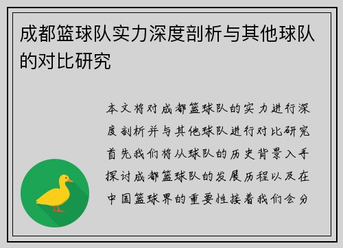 成都篮球队实力深度剖析与其他球队的对比研究