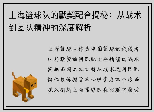 上海篮球队的默契配合揭秘：从战术到团队精神的深度解析